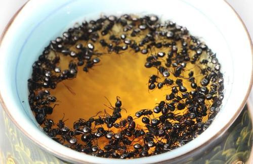 95年的飞天茅台多少钱?想要买到,你必须掌握这个行业秘密