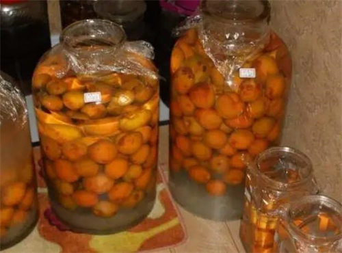 海顿甜杏子酒的特点是什么，奥地利有机佳酿