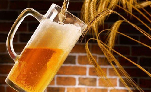 啤酒哈啤系列(品味不同啤酒的魅力)