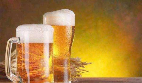 成都西门批发德国啤酒，小本创业必备的进口商品
